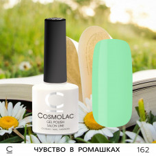 CosmoLac Чувство в ромашках